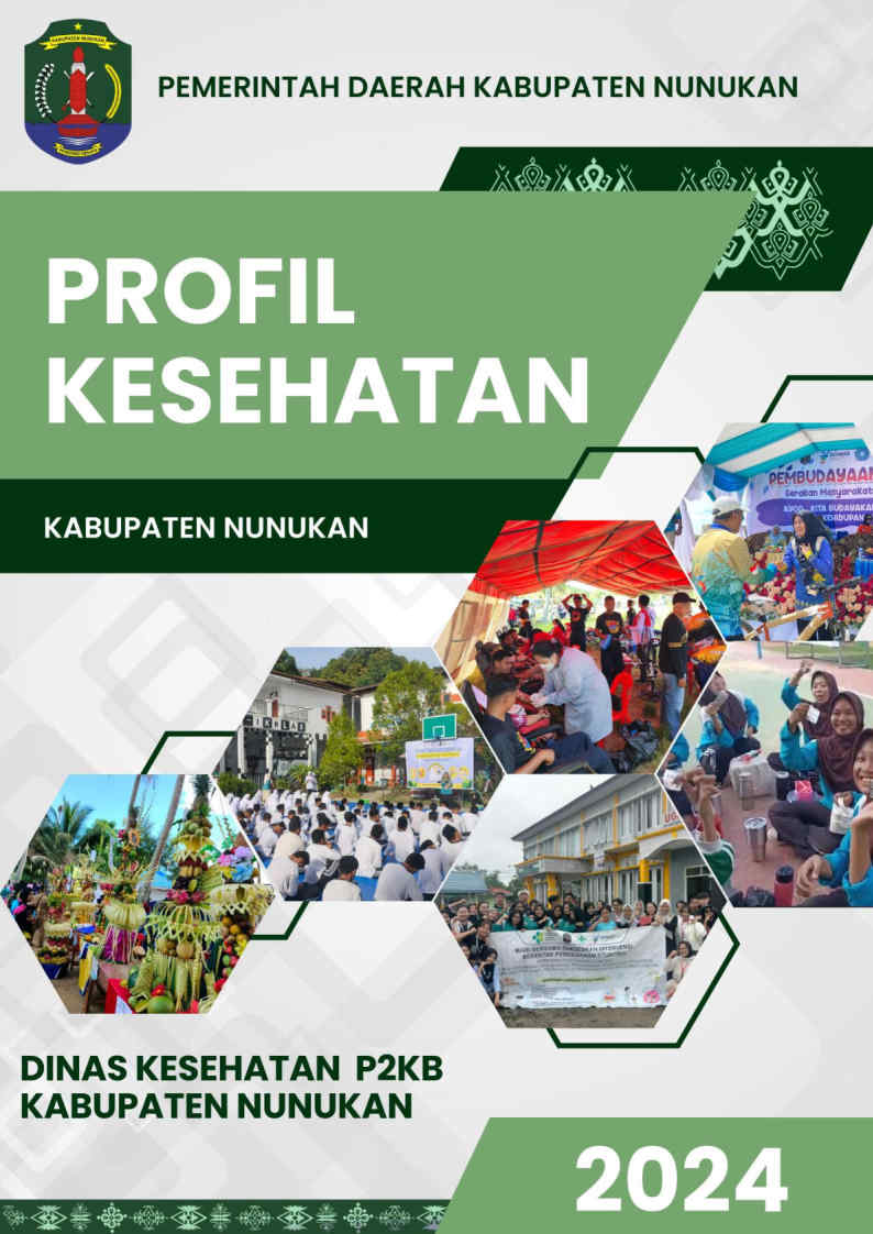 Profil Kesehatan 2024